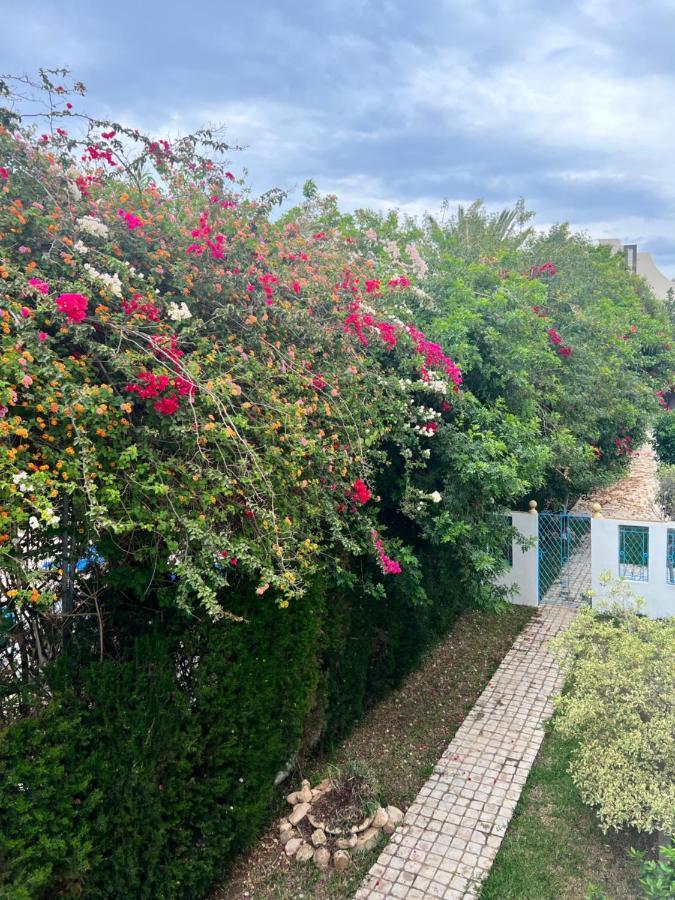 Appartement Rayhan Yasmine 哈馬馬特 外观 照片